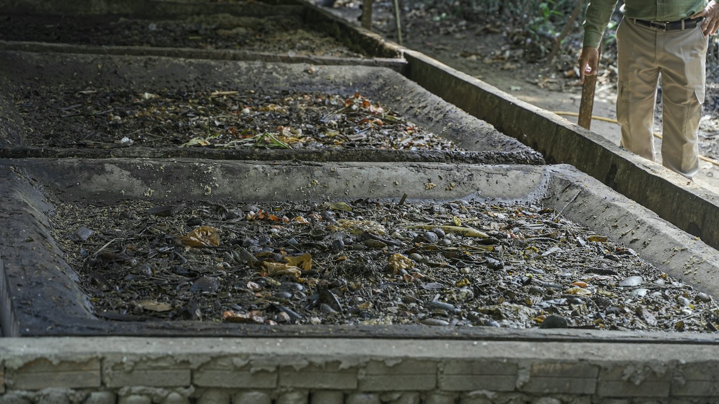 Professional holds a stick while standing by concrete composting beds.